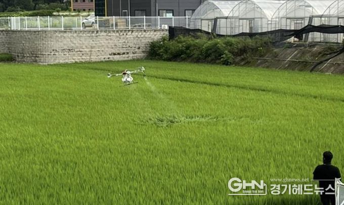 광주시, 드론·광역방제차 활용 벼 병해충 공동방제 실시
