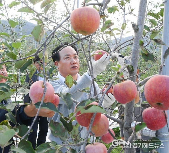 오산시, 자매도시 장수군서 ‘오산시민 장수 사과따기 체험행사’ 성황리 개최
