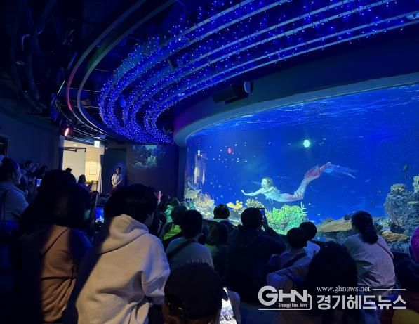 수원특례시 드림스타트 아동·가족이 아쿠아플라넷 관람을 하고 있다.