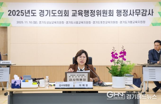 경기도의회 이애형 의원