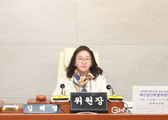 김혜영 예산결산특별위원장