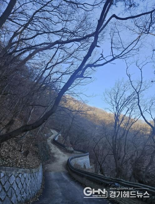 용인특례시가 석성산 숲길 정비사업을 진행한 현장 모습