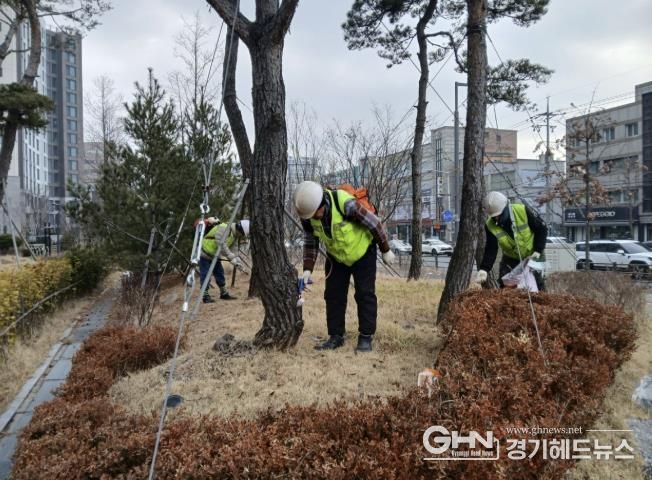 수원시 팔달구, 소나무 재선충병 방제완료