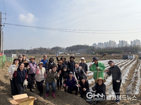오산시 대원2동 통장협의회, ‘사랑의 감자심기’로 이웃사랑 실천