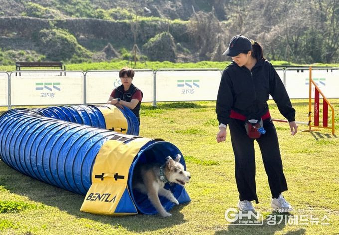‘반려마루 화성’ 동물 교감 활동 프로그램