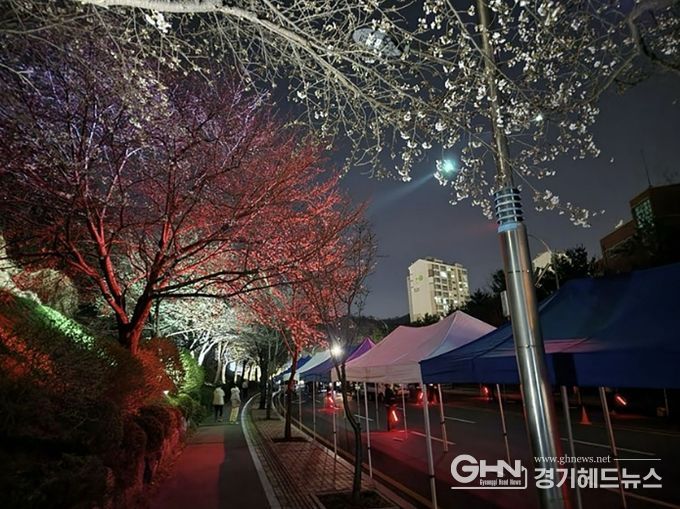 지난해 도촌 봄맞이길 벚꽃축제 때
